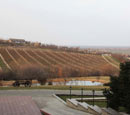 Complexul vinicol Purcari