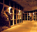 Cellars from Cricova